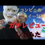 コンビニのスイーツ？！ガチレビューしてみた！