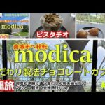 南城市【沖縄グルメ】おすすめカフェ『modica』チョコレート専門店/高台から絶景が見える席で夏季限定５食ピスタチオスイーツとチョコラテ『スフォリアテッラ』パリパリ絶品グルメ観光沖縄旅行vlog